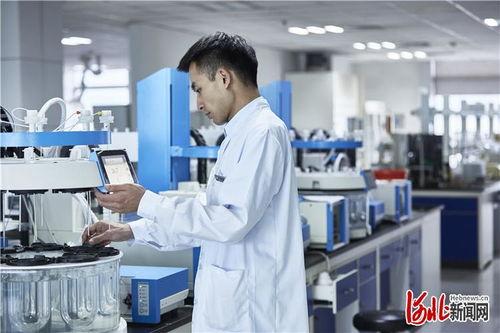 石药集团爆料新闻,揭秘企业重大突破与未来发展战略